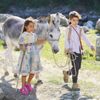 Sımsıcak bi aile filmi: Bal kaymak
