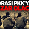 ‘Nusaybin PKK’ya mezar olacak’