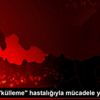 Fındıkta "külleme" hastalığıyla mücadele yapma çağrısı