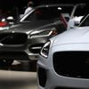 Lüks oto gaz kesti Lüks oto gaz kesti