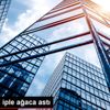 Kendisini iple ağaca astı