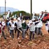 Muğla da 200 bin fıstık çamı fidanı toprakla buluşturuldu Muğla da 200 bin fıstık çamı fidanı toprakla buluşturuldu