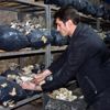 Hobi olarak başladı, şimdi siparişlere yetişemiyor Hobi olarak başladı, şimdi siparişlere yetişemiyor