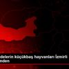 Depremzedelerin küçükbaş hayvanları İzmirli kardeşlerinden