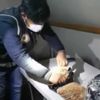 Nohut paketinden çıkanlar polisi bile şaşırttı Nohut paketinden çıkanlar polisi bile şaşırttı