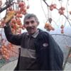 Kestiği ağaç canından etti Kestiği ağaç canından etti