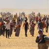 AA fotoğrafları Lahey'e belge oldu AA fotoğrafları Lahey'e belge oldu