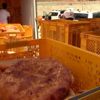 Türk Kızılay 10 bin pide dağıttı