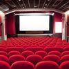 Salonlara yerli film damgası