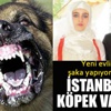 İstanbul'da 5 köpek yeni evli adamı parçaladı!