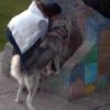 Köpeğine avucunda su içirdi