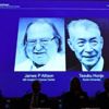 Nobel Tıp Ödülü kanser tedavisine gitti