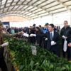 Pazarcı esnafına eldiven ve maske Pazarcı esnafına eldiven ve maske