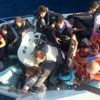 Bodrum'da can pazarı !