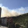 Maltepe'de ormanlık alanda yangın Maltepe'de ormanlık alanda yangın