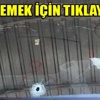 Nusaybin'de ambulanslar uzun namlulu silahlarla tarandı Nusaybin'de ambulanslar uzun namlulu silahlarla tarandı