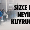 Yaralı Kızıl Şahini Jandarma Ekibi Kurtardı