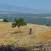 En yukarıya göz dikmişler En yukarıya göz dikmişler