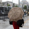 Meteoroloji uyardı, dışarı çıkmadan bu habere dikkat! Fırtına...