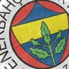 Fenerbahçe sermaye artımından gelen fonun adreslerini açıkladı Fenerbahçe sermaye artımından gelen fonun adreslerini açıkladı