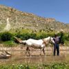 300 yıllık yöntemle tarım yapıyorlar 300 yıllık yöntemle tarım yapıyorlar
