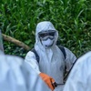 İlk Ebola hastası iyileşti İlk Ebola hastası iyileşti