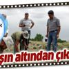 Van'ın Erciş ilçesinde büyük korku! Her taşın altında çıkıyor 1 metre zıplayabiliyor Van'ın Erciş ilçesinde büyük korku! Her taşın altında çıkıyor 1 metre zıplayabiliyor