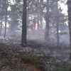 Amasya'da korkutan orman yangını