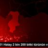EXPO 2021 Hatay 2 bin 200 bitki türünün vitrini olacak EXPO 2021 Hatay 2 bin 200 bitki türünün vitrini olacak