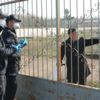 93 yaşındaki dedeyi polis kurtardı 93 yaşındaki dedeyi polis kurtardı