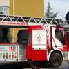 KOCAELİ Çatıya çıkan yavru köpekleri kurtardılar KOCAELİ Çatıya çıkan yavru köpekleri kurtardılar