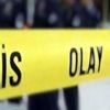 Antalya'da ikiye bölünmüş ve parçalanmış 3 kedi ölüsü bulundu