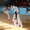Bitlis te yaz spor okullarının açılışı yapıldı