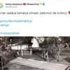 Kamelyayı kıran gençlere belediyeden sitem: Kırılan sadece kamelya olmadı, kalbimizi de kırdınız Kamelyayı kıran gençlere belediyeden sitem: Kırılan sadece kamelya olmadı, kalbimizi de kırdınız
