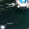 Haliç’te erkek cesedi bulundu Haliç’te erkek cesedi bulundu