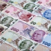 Türk lirası değer kaybetmeyi sürdürüyor Türk lirası değer kaybetmeyi sürdürüyor
