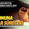 Tarihin en büyük salgını 'Kara Ölüm' yeniden ortaya çıktı Tarihin en büyük salgını 'Kara Ölüm' yeniden ortaya çıktı