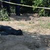Hesap ödeme kavgası yüzünden öldürüp gömdüler