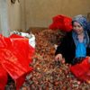 Nişantaşı'nda moda tasarımcılığını bırakıp çiftçi oldu! Nişantaşı'nda moda tasarımcılığını bırakıp çiftçi oldu!