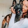 Çinli et tüccarlarının elinden yüzü yırtılmış halde kurtarılan köpek, şimdilerde İngiltere'nin maskotu Çinli et tüccarlarının elinden yüzü yırtılmış halde kurtarılan köpek, şimdilerde İngiltere'nin maskotu
