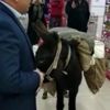 Eşekli tepkiye büyük ceza! Eşekli tepkiye büyük ceza!