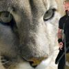 Pumayı, Metallica şarkısıyla kaçırdı! Pumayı, Metallica şarkısıyla kaçırdı!