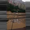 Sakarya'da sel! Askeri helikopterle kurtarıldılar Sakarya'da sel! Askeri helikopterle kurtarıldılar