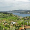 Domuz gribi hortladı Domuz gribi hortladı