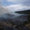 Bayburt'ta orman yangınında 100 dönüm alan zarar gördü