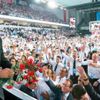 Erdoğan’a miting gibi kongre Erdoğan’a miting gibi kongre