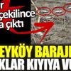 ﻿Alibeyköy Barajı’nda balıklar kıyıya vurdu