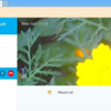 Skype, tarayıcıdan da kullanılacak Skype, tarayıcıdan da kullanılacak