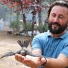 Ebabil kuşları Karabük’ü mesken tuttu Ebabil kuşları Karabük’ü mesken tuttu