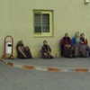 Hayvan otlatma tartışması... 2 ölü Hayvan otlatma tartışması... 2 ölü